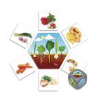 Montessori Thinks - Από πού προέρχονται οι τροφές;