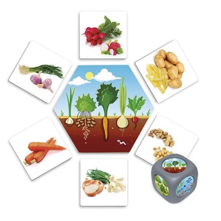 Montessori Thinks - Από πού προέρχονται οι τροφές;
